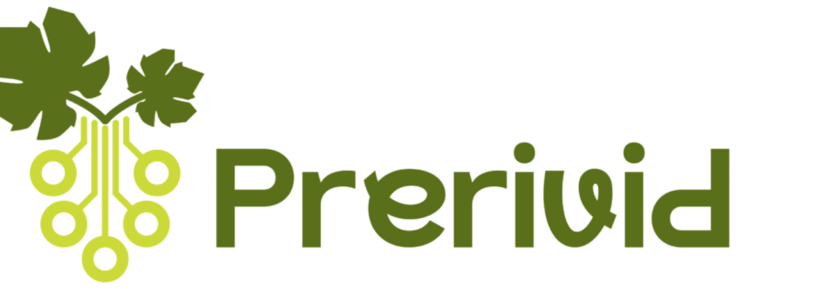 Presentación del GO PRERIVID