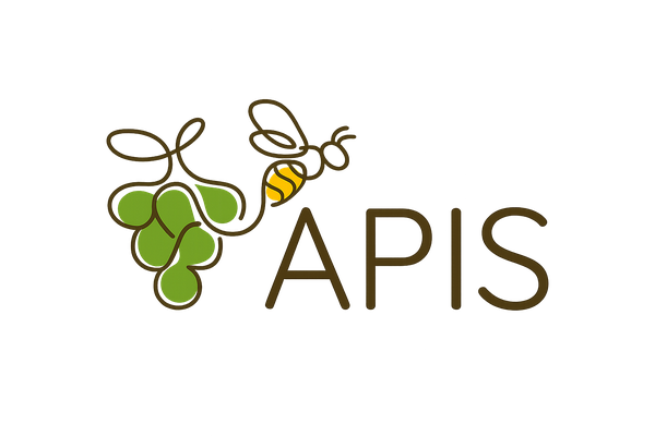 Logo del proyecto APIS