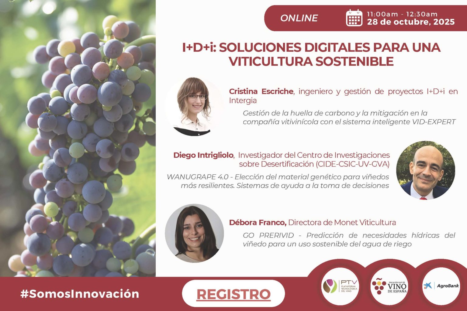 I+D+i SOLUCIONES DIGITALES PARA UNA VITICULTURA SOSTENIBLE