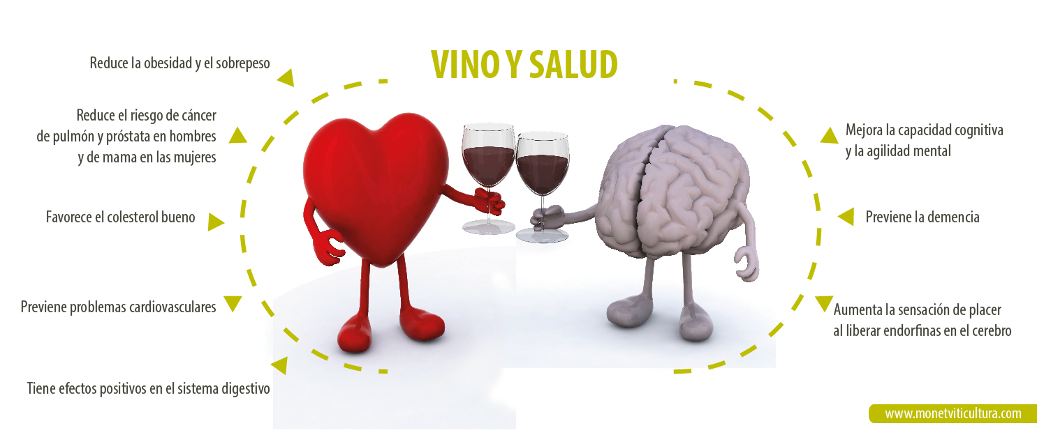 Efectos del vino sobre la salud